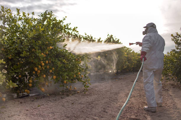 Reliable Enochville, NC Pest Control Solutions