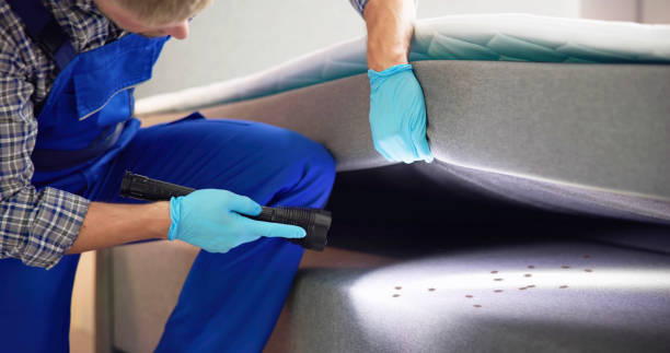 Pest Control Cost in Enochville, NC